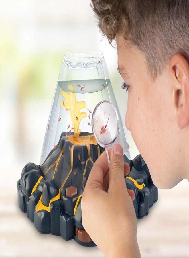 Animagic Aqua Dragons Volcano | Build an Aquatic Ecosystem, Watch Prehistoric Pets Hatch & Grow | Science Kit with LED Light-Up Tank | Includes Exclusive RED Aqua Dragons | Ages 6+ - Image 4